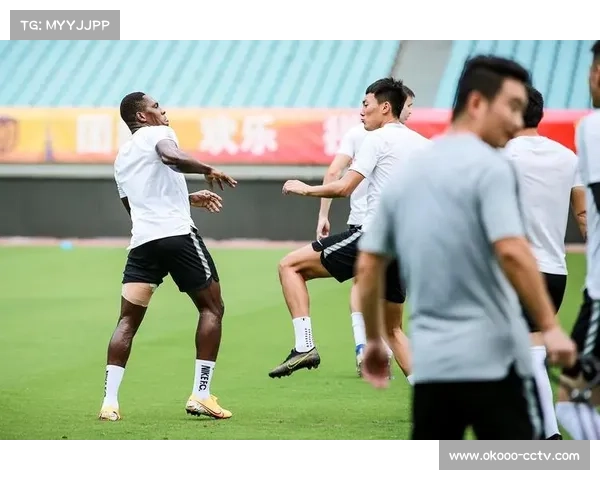 德甲俱乐部联合举办女性教练培训计划，强调性别平等